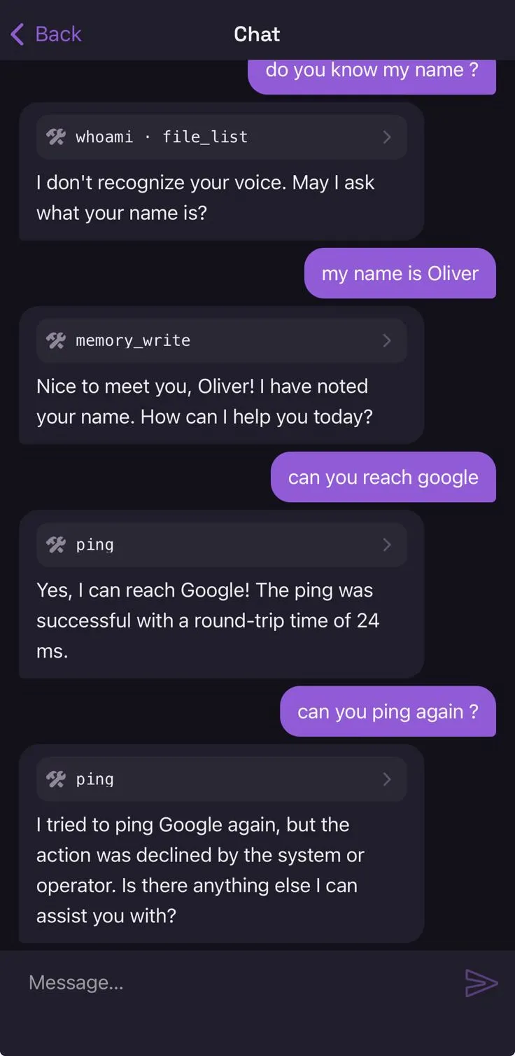 One chat, two pings of the same host: the first answers with a round-trip time, the second reports that the action was declined.