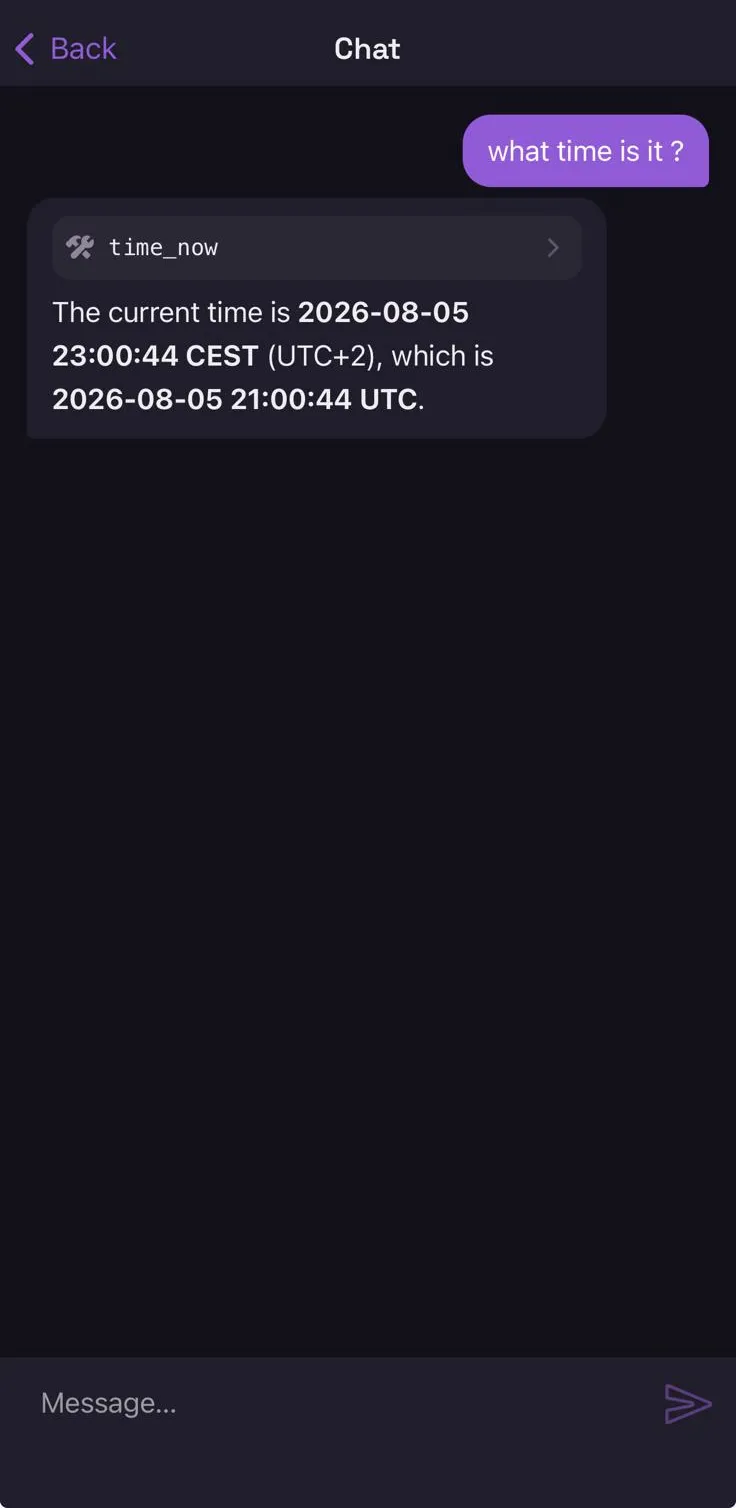 The same kind of turn in the app: the question, a chip naming the time_now tool, and the answer underneath.