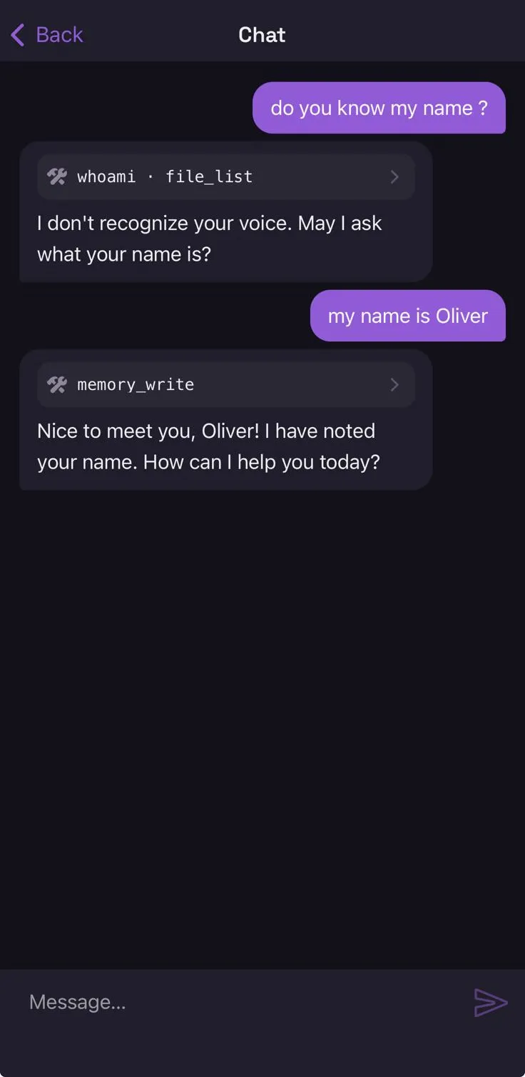 A chat where the assistant does not recognise the speaker, asks for a name, and on being told it writes the fact away — the memory_write call visible in the turn.