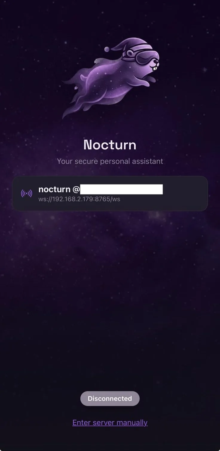 The app’s connect screen: a server found on the network by name, its WebSocket address underneath, and a link to enter a server by hand.